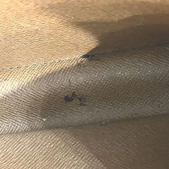 Louis Vuitton Monogram Amazon M45236 Bag Shoulder Bag Women - Picture 6 of 9